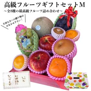 フルーツギフト果物詰め合わせ6種盛り 果物ギフト贈答品 内祝 旬の果物 高級果物 詰め合わせ 8種類約12品フルーツギフト 果物ギフト 贈答品用
