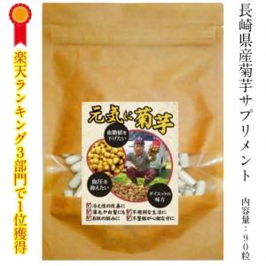 菊芋サプリ 1ヶ月分 90粒入 キクイモサプリメント 菊芋粉末入 長崎県産