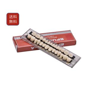 Oral Dentistry 入れ歯ケア 口腔歯科 歯科用アクリル