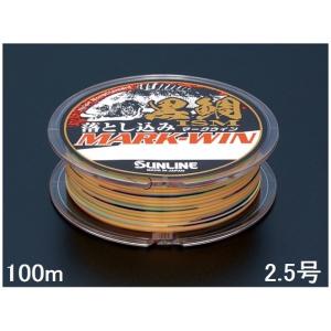 K LINE 伯龍 / HAKURYU 0.8号 300m巻き PEライン ライトゲーム