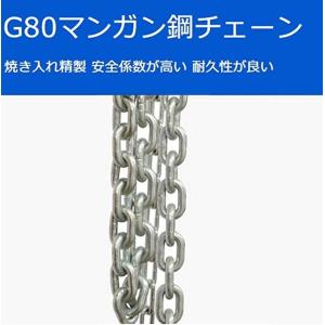 【1年保証】小型 軽量化 レバーホイスト 25...の詳細画像2