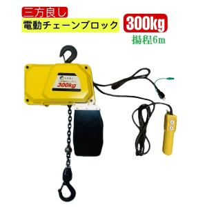 三方良し 電動チェーブロック300kg 揚程4m 電動ホイスト1速型 三方良し 電動チェーブロック300kg 揚程4m 電動ホイスト1速型