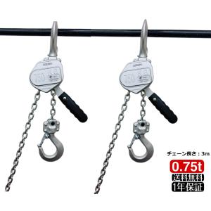 象印 Y2チェーンレバーホイスト100KG 象印チェンブロック（株