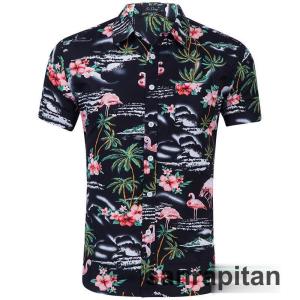 ANATOMICA タツノオトシゴ アロハシャツ アナトミカ 半袖 golden-state_t06061911