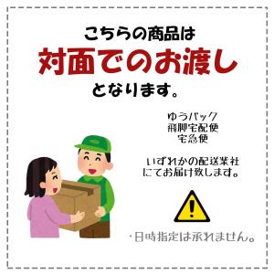 SMP 蒼き流星SPTレイズナー Vol.3 ...の詳細画像5