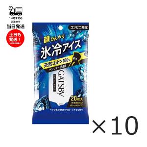 (10個セット) GATSBY ギャツビー フェイシャルペーパー アイスタイプR 20枚入り 汗拭き取りシート 洗顔ペーパーの商品画像