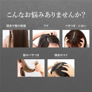 ピコモンテ クレイクリームシャンプー 450g...の詳細画像2