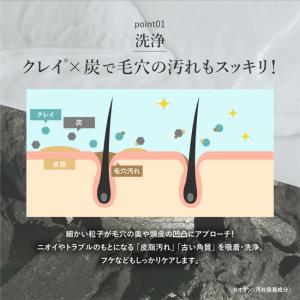 ピコモンテ クレイクリームシャンプー 450g...の詳細画像3