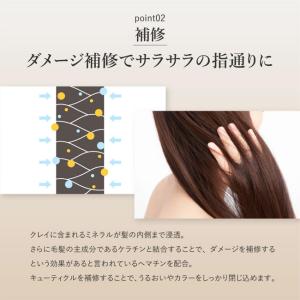 ピコモンテ クレイクリームシャンプー 450g...の詳細画像4