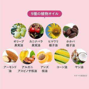 ピコモンテ クレイクリームシャンプー 450g...の詳細画像3