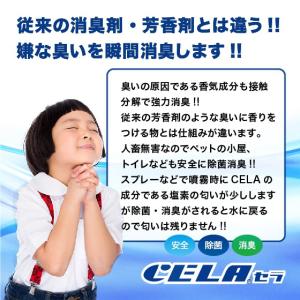 次亜塩素酸水 20L コック付き 1箱 セラ水...の詳細画像4