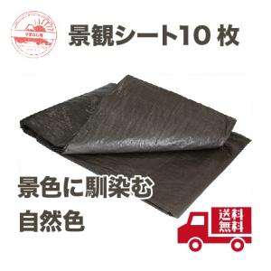 景観シート(ダークブラウンカラー)10枚セット