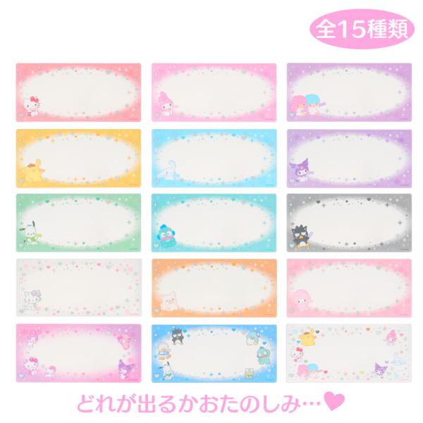 サンリオキャラクターズ シークレット硬質チケットケース（エンジョイアイドル）