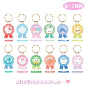 sanrio（サンリオ） サンリオキャラクターズ シークレットミニポーチ