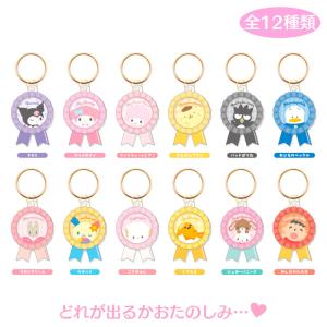 sanrio（サンリオ） サンリオキャラクターズ シークレットミニポーチ