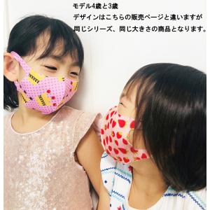 アウトレットセール 洗えるキッズマスク 子供用 幼児の詳細画像3