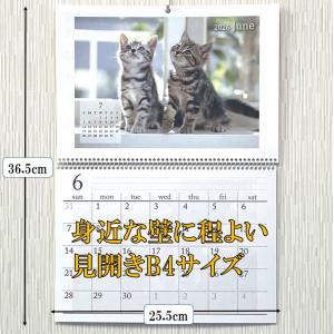 ネコ 壁掛けカレンダー カレンダー 2026年...の詳細画像1