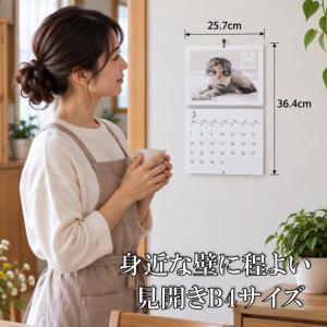 ネコ 壁掛けカレンダー カレンダー 2027年...の詳細画像1