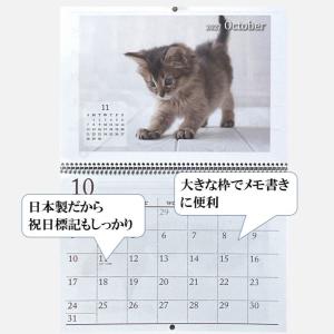 ネコ 壁掛けカレンダー カレンダー 2027年...の詳細画像2