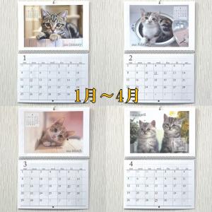 ネコ 壁掛けカレンダー カレンダー 2026年...の詳細画像3