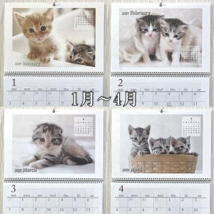 ネコ 壁掛けカレンダー カレンダー 2027年...の詳細画像3