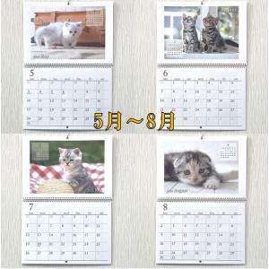 ネコ 壁掛けカレンダー カレンダー 2026年...の詳細画像4