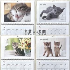 ネコ 壁掛けカレンダー カレンダー 2027年...の詳細画像4