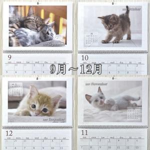 ネコ 壁掛けカレンダー カレンダー 2027年...の詳細画像5