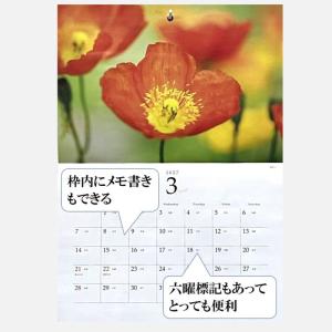 壁掛けカレンダー カレンダー 2027年 四季...の詳細画像3