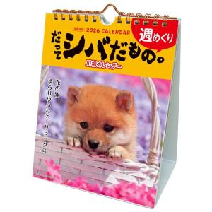 カレンダー 2026 卓上カレンダー 壁掛け 兼...の商品画像