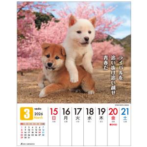 カレンダー 2026 卓上カレンダー 壁掛け ...の詳細画像1