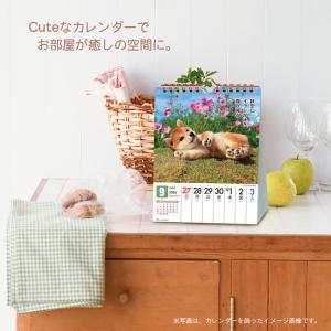 カレンダー 2026 卓上カレンダー 壁掛け ...の詳細画像3