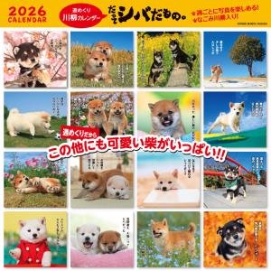 カレンダー 2026 卓上カレンダー 壁掛け ...の詳細画像4