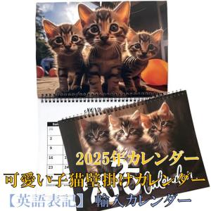 赤いペガサス コミック 全6巻完結セット (少年サンデー 赤いペガサス コミック 全6巻完結セット (少年サンデー