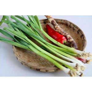 葉にんにく(蒜叶 ) 100g 中国産の詳細画像2