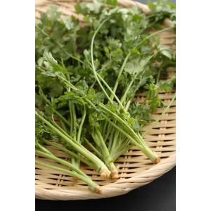 香菜（シャンサイ・パクチー・コリアンダー）1袋（約100g） : 韓国広場