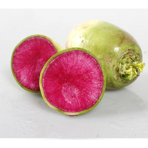 紅心大根　(心里美)　500ｇ/個　こうしんだいこん　野菜　スープ