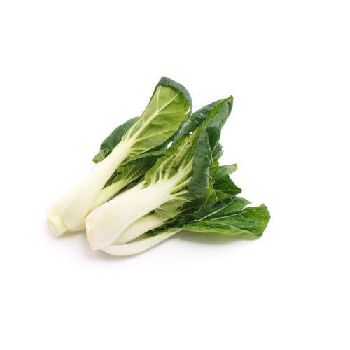 広東パクチョイ　100ｇ新鮮野菜　中国産　検品済み野菜