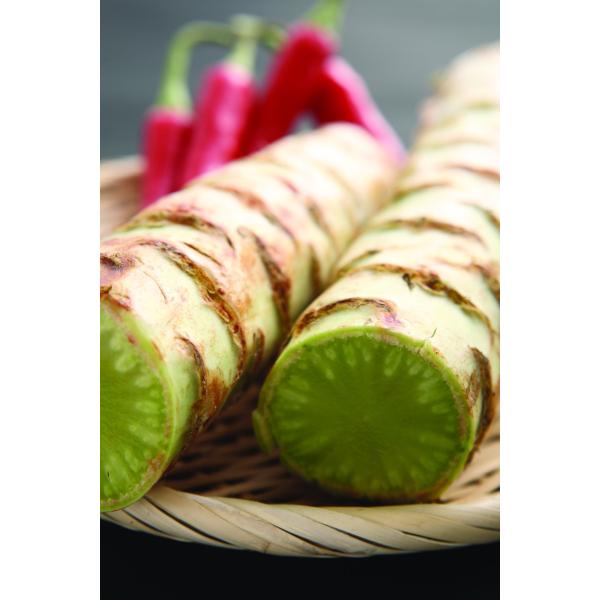 チシャト　約400g　ちしゃと　新鮮野菜　中国産