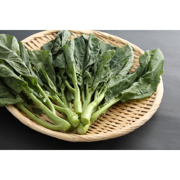 広東カイラン 100g　新鮮野菜　中国産　検品済み　かいらんg