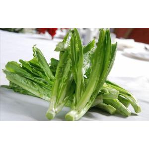A菜 油麦菜 100g 新鮮野菜 中国産の詳細画像2