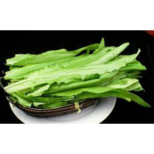 A菜 油麦菜 100g 新鮮野菜 中国産の詳細画像3