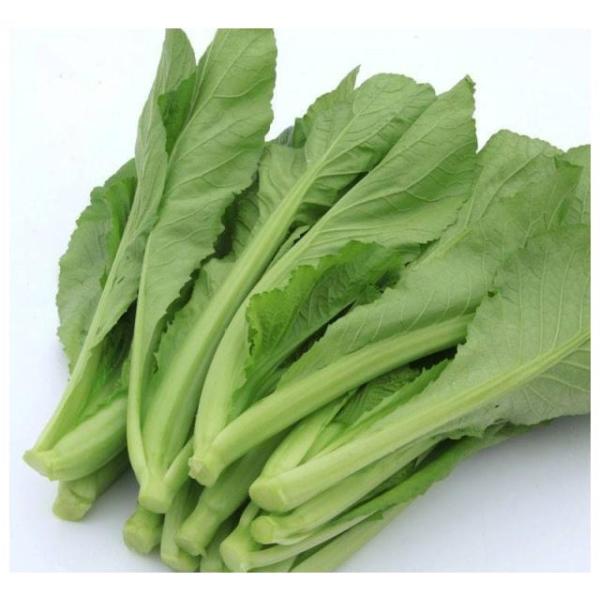 広東芥菜　カイサイ　100g　新鮮野菜　かいさい
