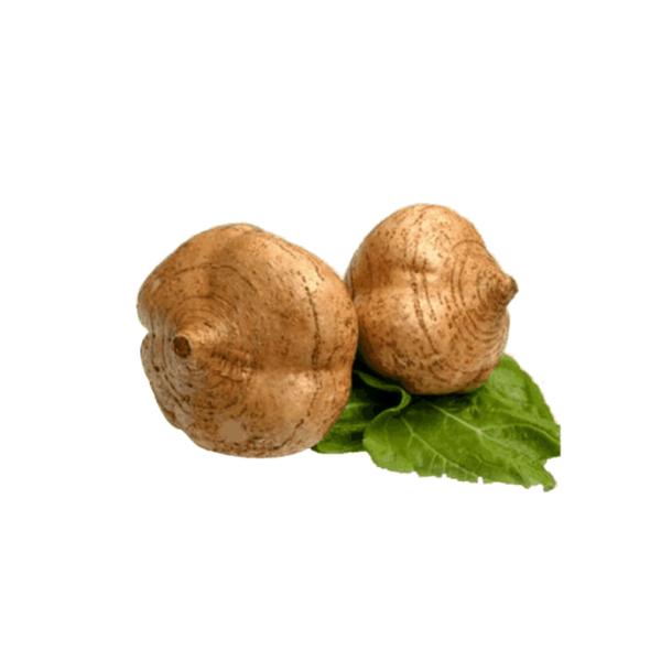 広東沙葛　サク　500g　中国産　カントン