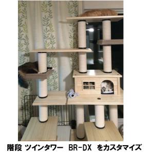 階段 ツインタワー BR-DX [据置タイプ]の詳細画像1