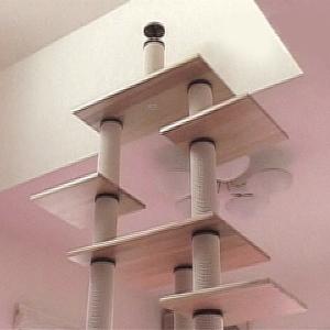 超高層3mキャットタワー　 [スカイツリーＢ-DX]