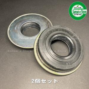 ミツビシ純正部品　中耕ロータリーKR36 爪軸オイルシールTCD　2個セット：0955-3062-130x2