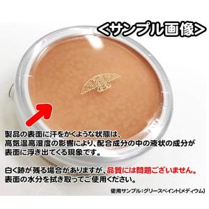 ★送料無料★ 三善 グリースペイント 全27色...の詳細画像1