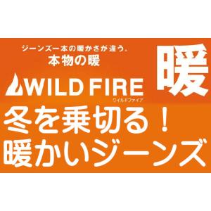 EDWIN エドウィン 403 WILD FI...の詳細画像1