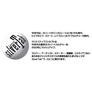 セール! LEVIS リーバイス SILVER...の詳細画像1